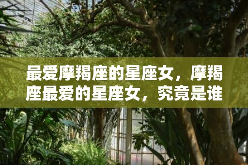 最爱摩羯座的星座女，摩羯座最爱的星座女，究竟是谁呢？