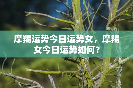 摩羯运势今日运势女，摩羯女今日运势如何？