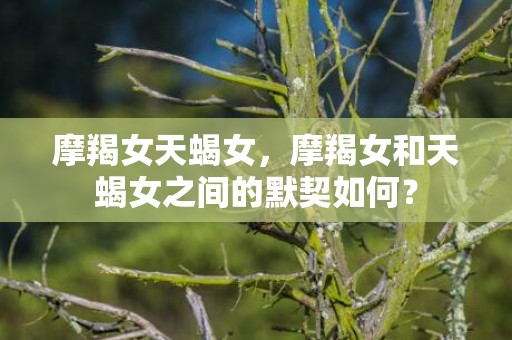 摩羯女天蝎女，摩羯女和天蝎女之间的默契如何？