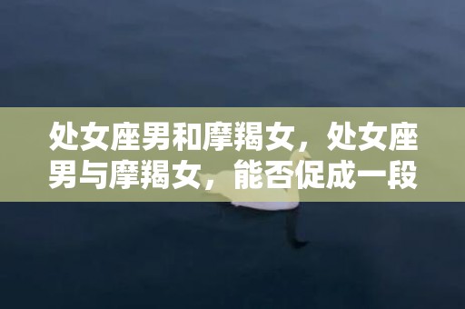 处女座男和摩羯女，处女座男与摩羯女，能否促成一段糊涂爱情？