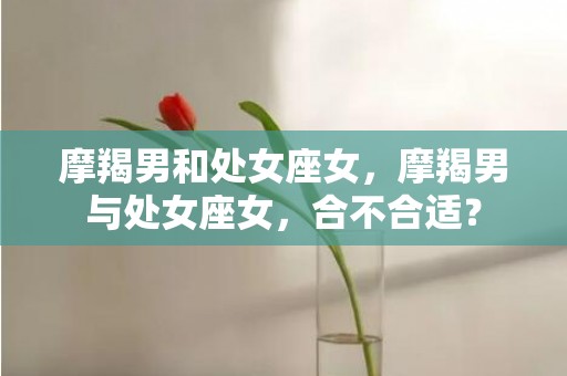 摩羯男和处女座女，摩羯男与处女座女，合不合适？