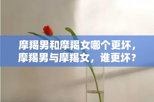 摩羯男和摩羯女哪个更坏，摩羯男与摩羯女，谁更坏？