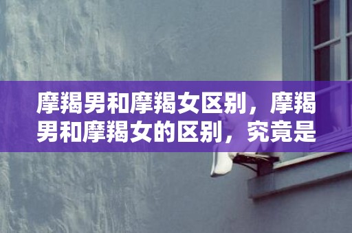 摩羯男和摩羯女区别，摩羯男和摩羯女的区别，究竟是怎样的？
