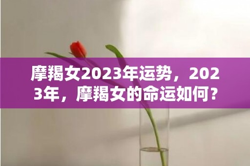 摩羯女2023年运势，2023年，摩羯女的命运如何？