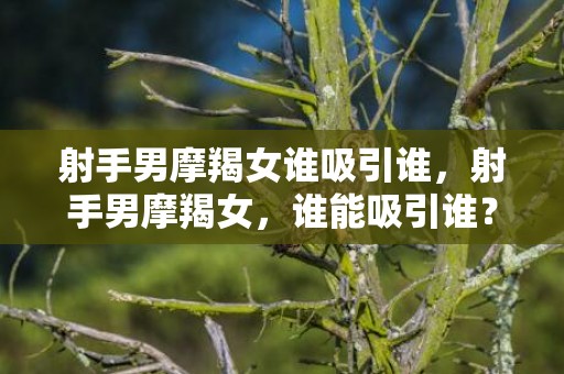 射手男摩羯女谁吸引谁，射手男摩羯女，谁能吸引谁？