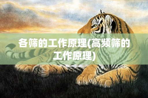 各筛的工作原理(高频筛的工作原理)