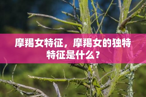 摩羯女特征，摩羯女的独特特征是什么？