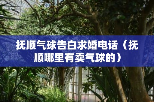 抚顺气球告白求婚电话（抚顺哪里有卖气球的）