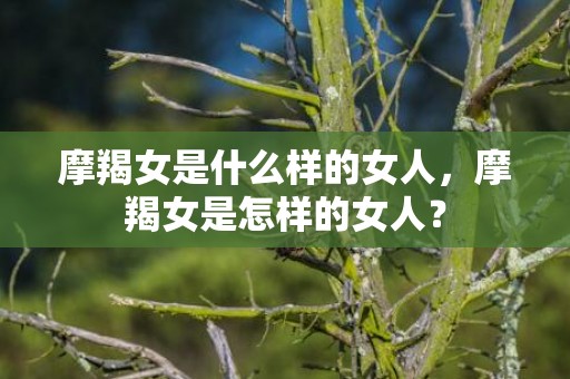 摩羯女是什么样的女人，摩羯女是怎样的女人？
