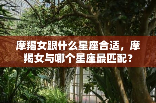 摩羯女跟什么星座合适，摩羯女与哪个星座最匹配？