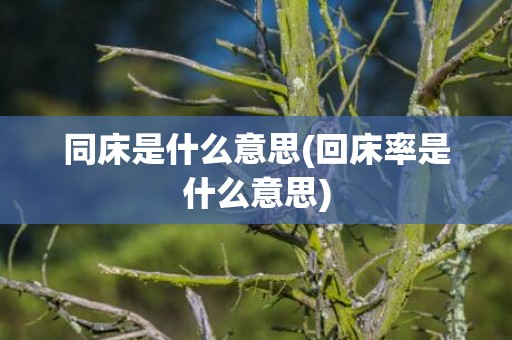 同床是什么意思(回床率是什么意思)