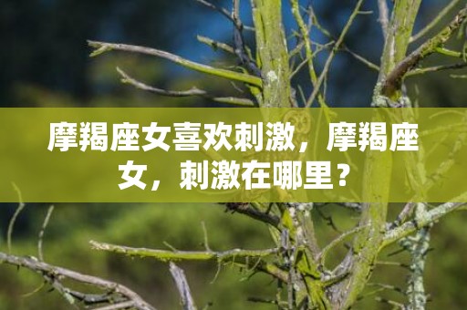摩羯座女喜欢刺激，摩羯座女，刺激在哪里？