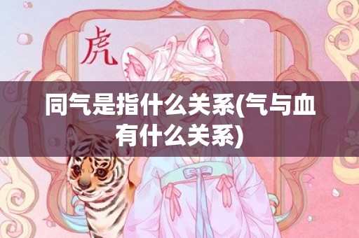 同气是指什么关系(气与血有什么关系)