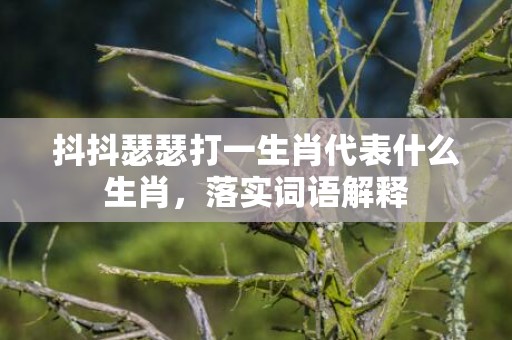 抖抖瑟瑟打一生肖代表什么生肖，落实词语解释