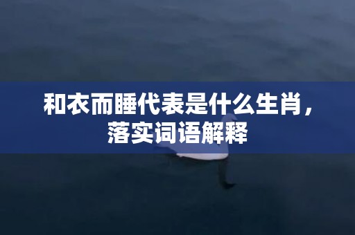 和衣而睡代表是什么生肖，落实词语解释