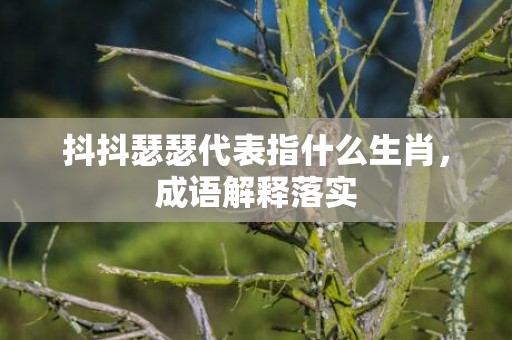 抖抖瑟瑟代表指什么生肖，成语解释落实