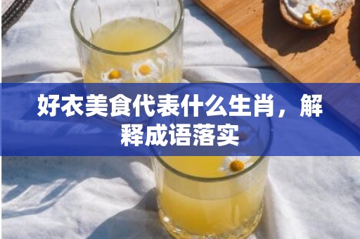 好衣美食代表什么生肖，解释成语落实