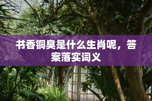 书香铜臭是什么生肖呢，答案落实词义