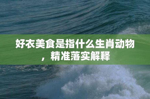 好衣美食是指什么生肖动物，精准落实解释