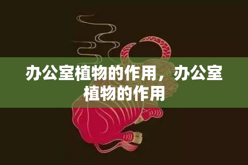 办公室植物的作用，办公室植物的作用