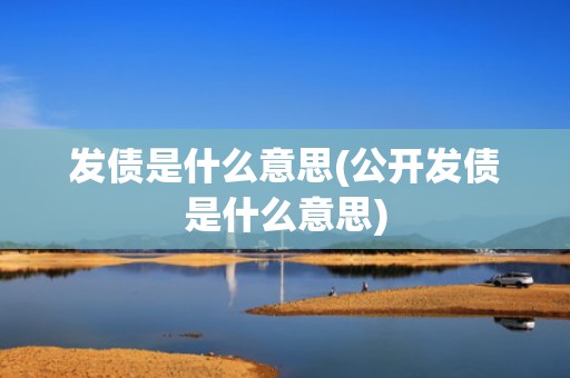 发债是什么意思(公开发债是什么意思)