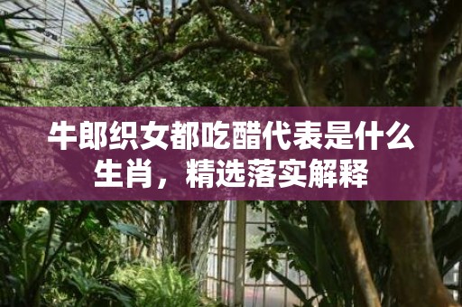 牛郎织女都吃醋代表是什么生肖，精选落实解释