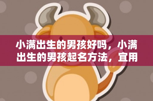 小满出生的男孩好吗，小满出生的男孩起名方法，宜用什么字