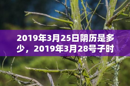 2019年3月25日阴历是多少，2019年3月28号子时出生的男孩如何起名