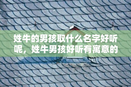 姓牛的男孩取什么名字好听呢，姓牛男孩好听有寓意的名字大全
