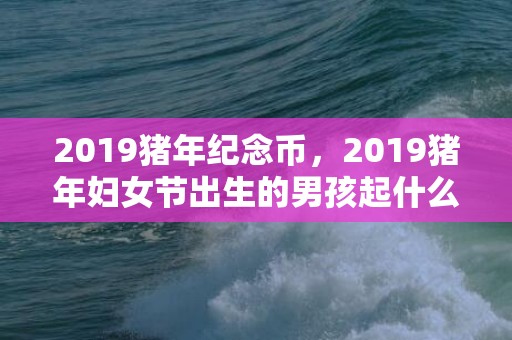 2019猪年纪念币，2019猪年妇女节出生的男孩起什么名字合适，宜用什么字