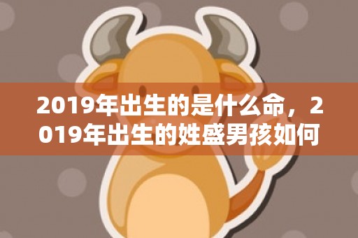 2019年出生的是什么命，2019年出生的姓盛男孩如何起名，宜用什么字