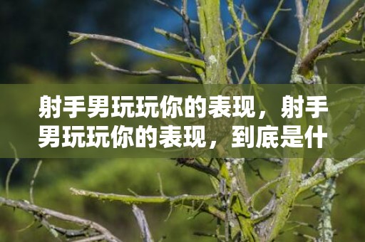 射手男玩玩你的表现，射手男玩玩你的表现，到底是什么样的？