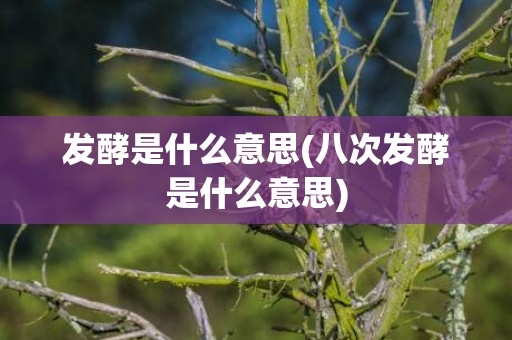 发酵是什么意思(八次发酵是什么意思)