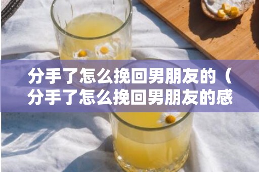 分手了怎么挽回男朋友的（分手了怎么挽回男朋友的感情）