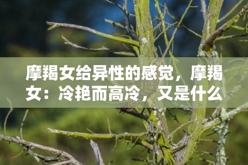 摩羯女给异性的感觉，摩羯女：冷艳而高冷，又是什么幕后国民女神？