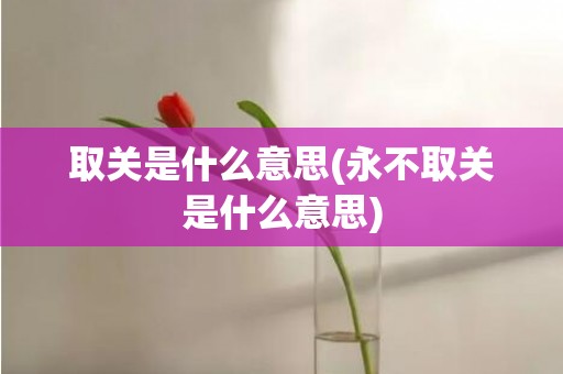 取关是什么意思(永不取关是什么意思)