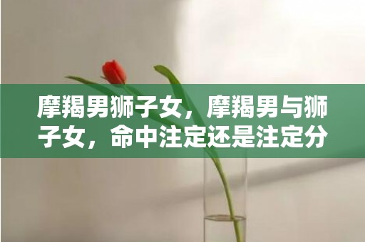 摩羯男狮子女，摩羯男与狮子女，命中注定还是注定分离？