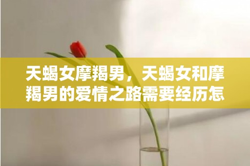 天蝎女摩羯男，天蝎女和摩羯男的爱情之路需要经历怎样的挑战？