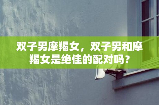 双子男摩羯女，双子男和摩羯女是绝佳的配对吗？