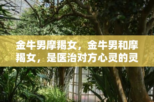 金牛男摩羯女，金牛男和摩羯女，是医治对方心灵的灵药吗？