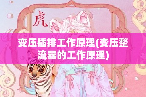 变压插排工作原理(变压整流器的工作原理)