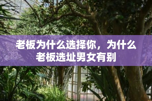 老板为什么选择你，为什么老板选址男女有别