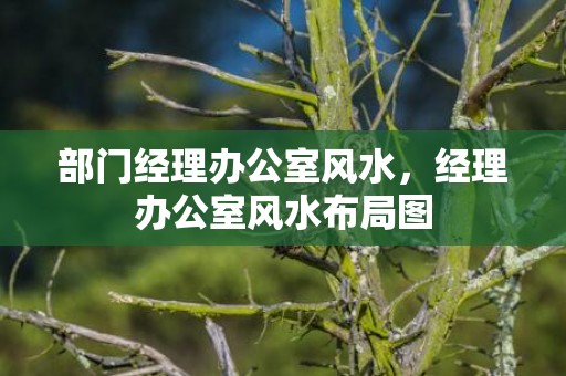部门经理办公室风水，经理办公室风水布局图