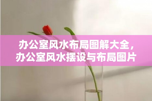 办公室风水布局图解大全，办公室风水摆设与布局图片