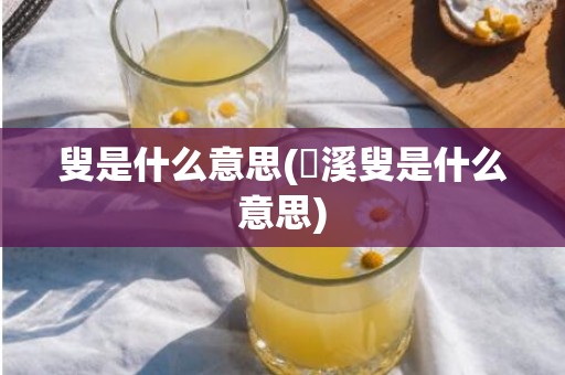 叟是什么意思(磻溪叟是什么意思)