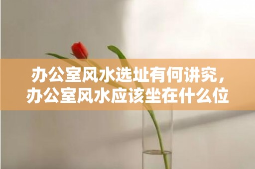 办公室风水选址有何讲究，办公室风水应该坐在什么位置