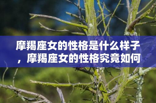 摩羯座女的性格是什么样子，摩羯座女的性格究竟如何？