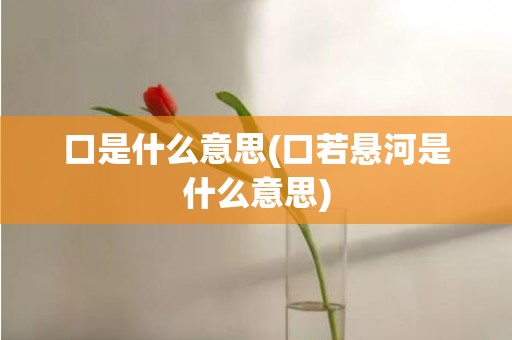 口是什么意思(口若悬河是什么意思)