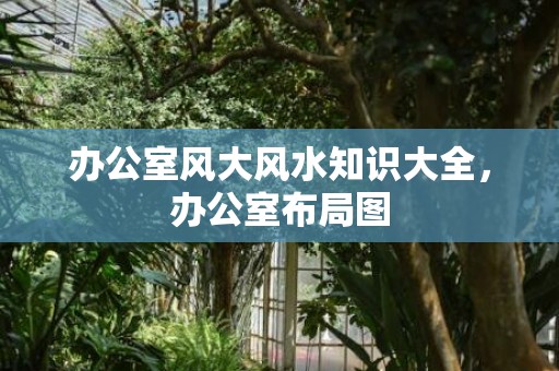 办公室风大风水知识大全，办公室布局图