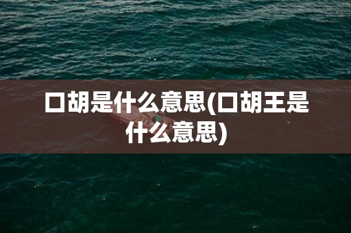 口胡是什么意思(口胡王是什么意思)